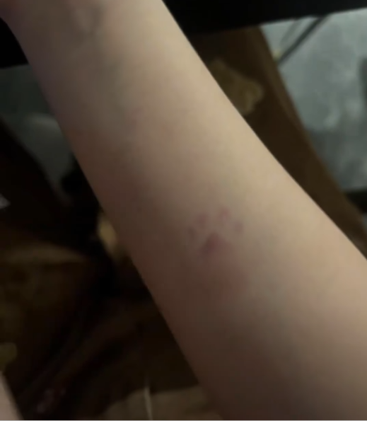 Thermochromic Application – Cat Paw Thermochromic Temporary Tattoo