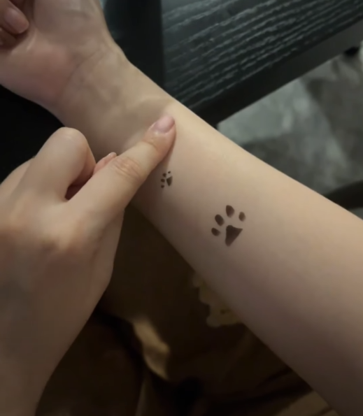 Thermochromic Application – Cat Paw Thermochromic Temporary Tattoo