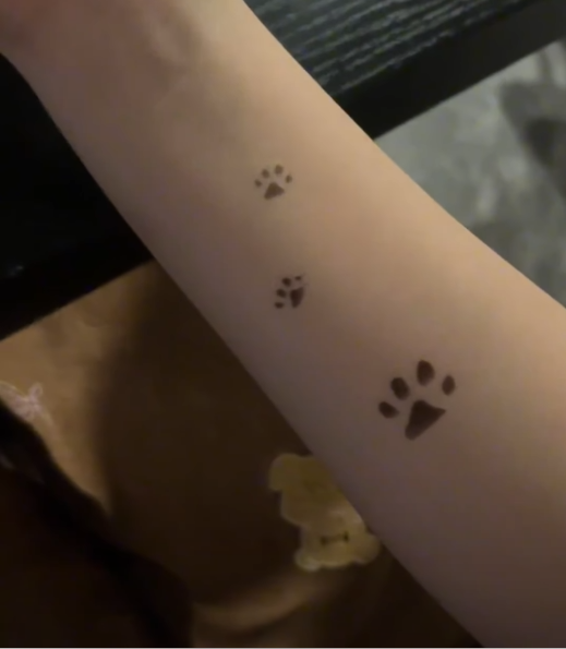 Thermochromic Application – Cat Paw Thermochromic Temporary Tattoo